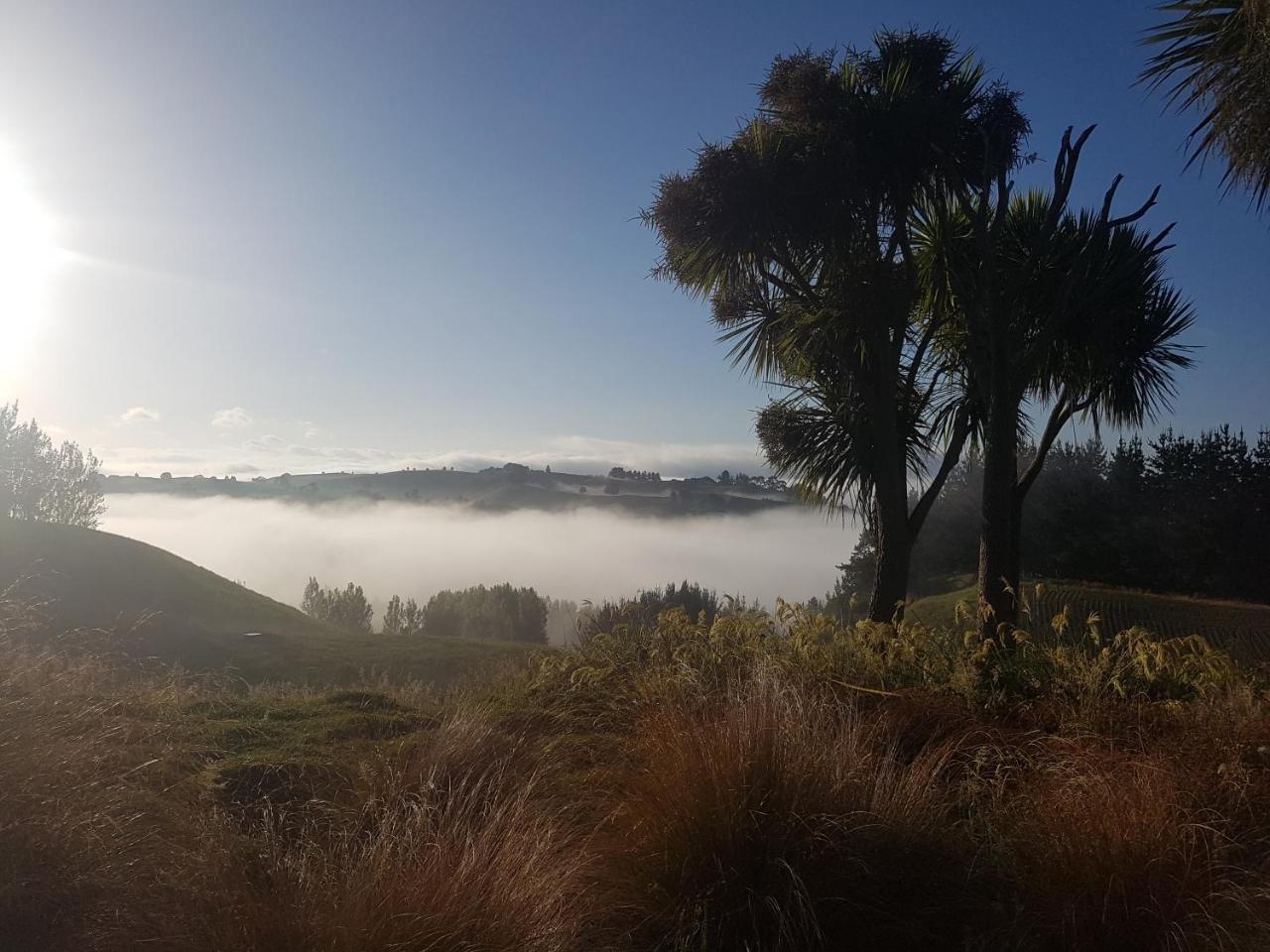 Above The River Karapiro Bed & Breakfast Exteriör bild
