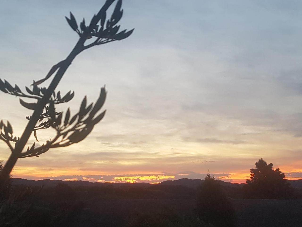 Above The River Karapiro Bed & Breakfast Exteriör bild