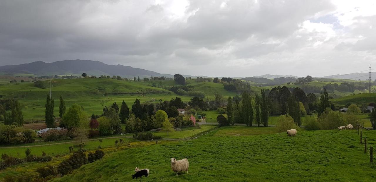 Above The River Karapiro Bed & Breakfast Exteriör bild